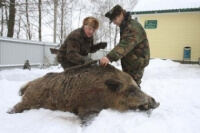 Охотничий туризм в Беларуси