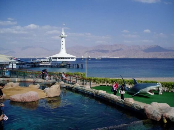 Отдых в Израиле на побережье Красного моря. Курорт Эйлат 