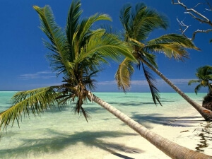 Туры в Доминикану